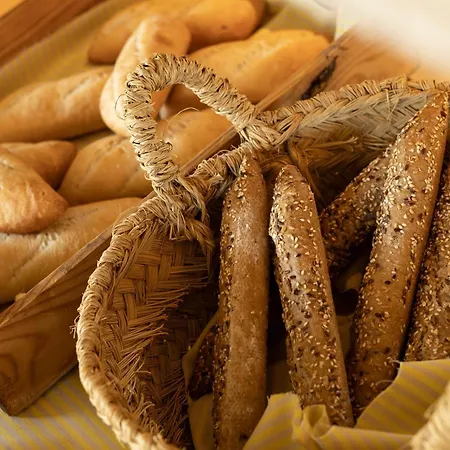 酒店 诺格拉玛尔酒店 德尼亚